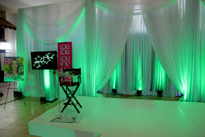 Toronto Fashion Shows 14